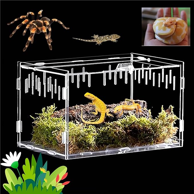 Reptile Terrarium Breeding Tank Acrylic Box (Spider, Tarantula, Snake, Lizard) Small Animal Viewing Box. 11.81 "x9.7 x7.6 (Type)
