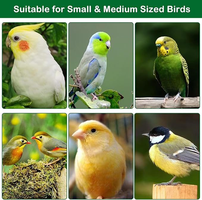 Automatic Bird Feeder Pack of 9 No Mess Parrot Water Dispenser Acrylic Adjustable Parakeet Seed Food Container Cage Accessories Drinker for Lovebirds Finches Budgies Canaries