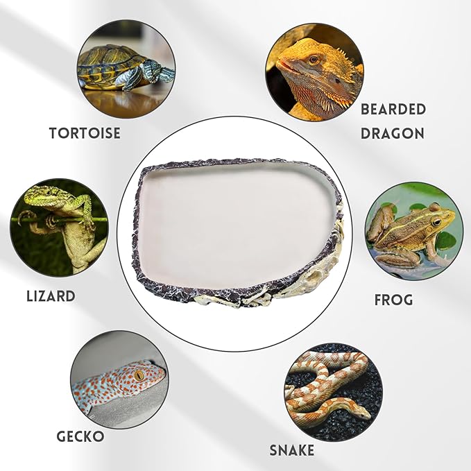 Reptile Water Bowl Food Dish Resin Rock Reptile Feeder Tortoise Food and Water Feeding Plate Amphibian Drinking Basin Reptile Habitat Tank Accessories for Turtle Lizard Leopard Gecko Chameleon