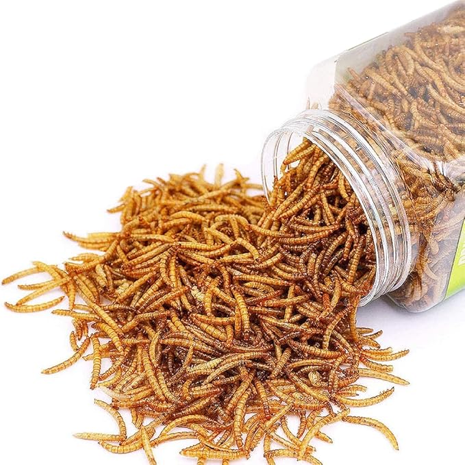 Reptile Food Dried Mealworms Pet Worms Food for Bearded Dragon, Lizard, Turtles, Chameleon, Monitor, Frog, Sugar Glider, Chickens, Birds, Hamsters and Hedgehogs (3.5 OZ)