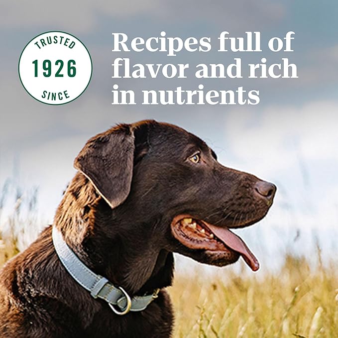 NUTRO NATURAL CHOICE Large Breed Adult Dry Dog Food, Chicken & Brown Rice Recipe, 40 lb. Bag (Pack of 1)