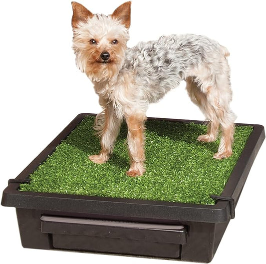 PetSafe Pet Loo Portable Dog Potty - Pet Toilet Alternative for Puppy Pads - Small - Perfect for House Training - Easy-to-Clean Grass Mat