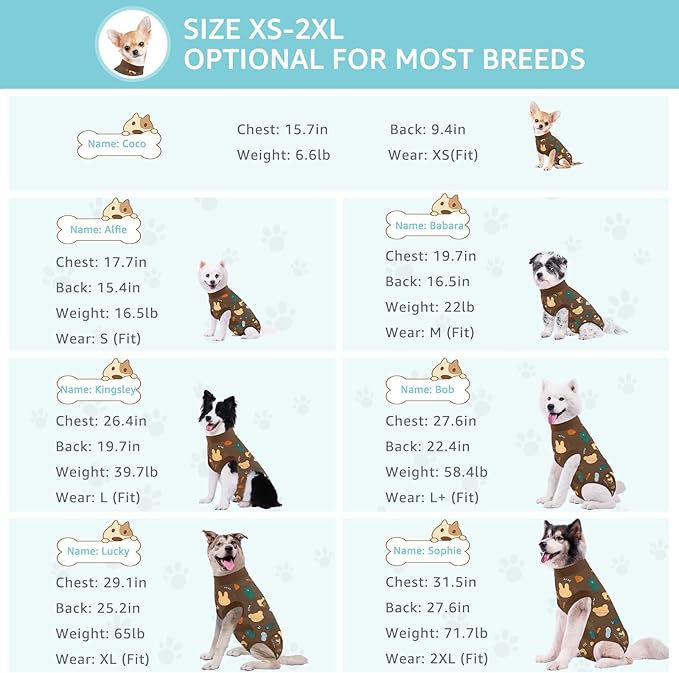 Recovery Suit for Dogs, Dog Surgery Recovery Suit with Zipper Closure Post Spay, Neuter, Abdominal Surgical Suit for Male Female Dogs Can Pee, Prevent Licking Dog Onesies, Brown Bear, Large+