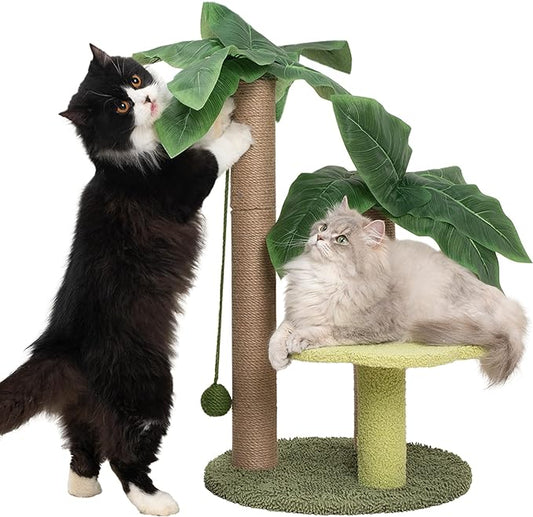 Cat Scratching Post with Flower Bed Cute Cat Scratcher with Sisal Dangling Ball Small Cat Tree for Indoor Cats Perch Cat Tower for Large Adult Cats and Kittens