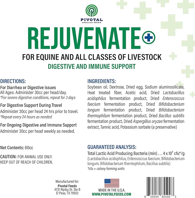 Rejuvenate+ Equine Oral Paste (60g Oral Syringe, Pack of 1) Digestive and Immune Support for Horses - Horse Supplements for Digestion