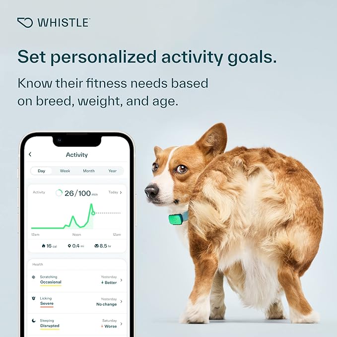 Whistle Health Smart Device | Dog Health and Fitness Tracker | Track Scratching, Licking, Drinking, Eating, Sleeping, and Activity, Green