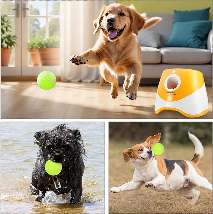 Automatic Dog Ball Thrower Launcher with 12 PCS Tennis Balls,Thrower Distance 10-30ft, Interactive Dog Fetch Machine Toy for Small Dogs (Yellow dog ball launcher)