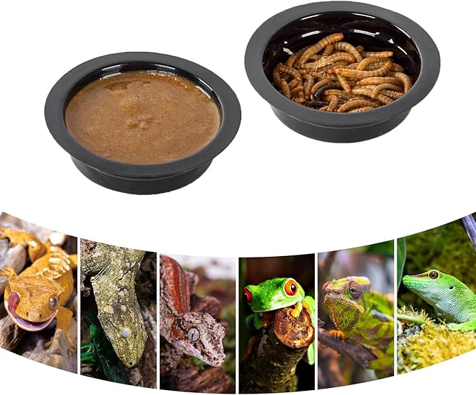 WACOOL Magnetic Reptile Ledge, Acrylic Gecko Feeding Ledge with 6PCS Cups, Reptile Food Water Feeder Dish for Geckos Iguana Chameleon Pets (Cups)