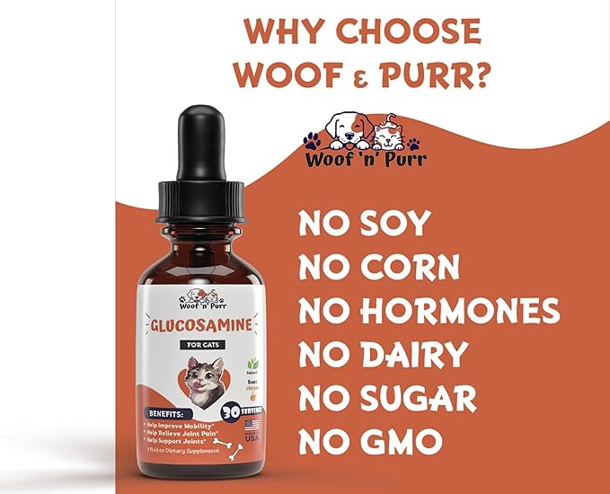 Glucosamine for Cats - Cat Glucosamine - Glucosamine for Cats Liquid - Cat Joint Supplement - Joint Supplement for Cats - Cat Joint Pain Relief - Joint Support for Cats - 1 fl oz - Chicken Flavor