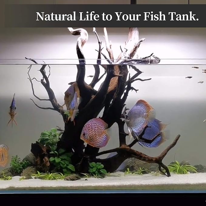 majoywoo Natural Large Coral Driftwood for Aquarium Decor Reptile Decor, Assorted Driftwood Branch 9-14" 2 Pcs, Fish Tank Decoration…