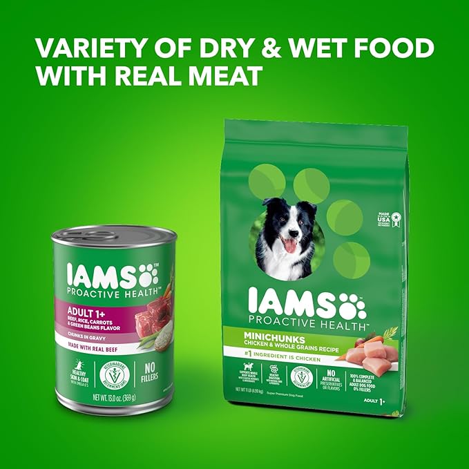 IAMS PROACTIVE HEALTH Adult Wet Dog Food Chunks in Gravy Beef, Rice, Carrots & Green Beans Flavor, 12-Pack of 13 oz. Cans