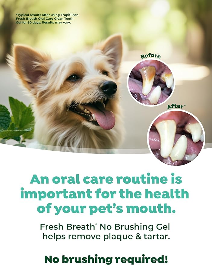 TropiClean Clean Teeth Gel for Dogs | Dog Dental Care | Dog Toothpaste | Breath Freshener | Easy Teeth Cleaning | Made in The USA | 2 oz.