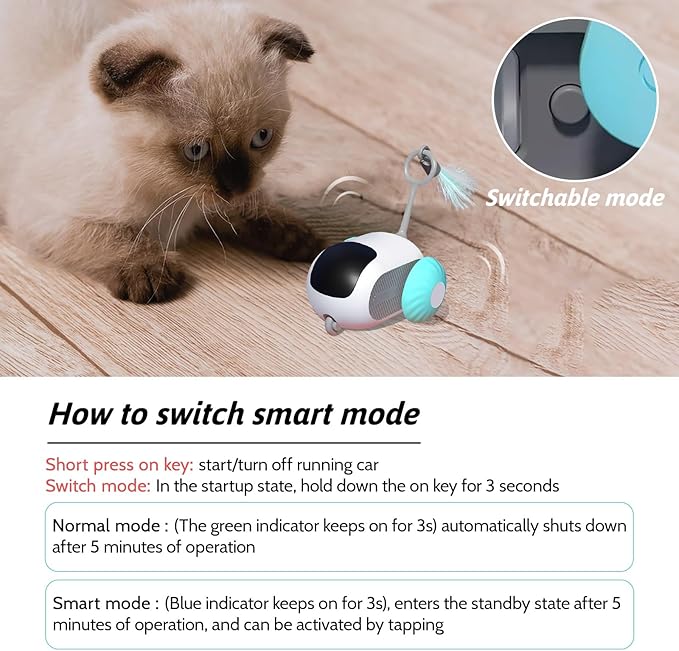 Remote Control Smart Electric Cat Toy,Interactive Cat Toys for Indoor Cats,Gravity Automatic Mobile Car Toy,Cat Mouse Toys,Moving Cat Toy, USB Rechargeable (Blue)