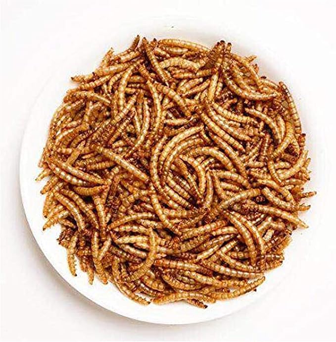 Amzey Dried Mealworms 11 LBS - 100% Natural for Chicken Feed, Bird Food, Fish Food, Turtle Food, Duck Food, Reptile Food, Non-GMO, No Preservatives, High Protein and Nutrition