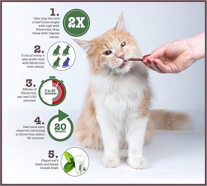Penn-Plax Cat-Life Natural 5-Piece Toy Bundle for Cats – Contains Silvervine and Compressed Catnip – 2 Wands, 1 Pack of Silvervine Sticks, and 2 Birdies
