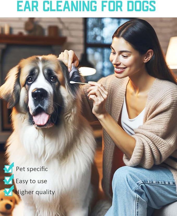Large Cotton Swabs, 100pcs-7 Inch,Large Q Tips, Bamboo Cotton Swabs for Ears,Cotton Swabs for Dogs Ears, Big Q Tips, Ear Swabs for Dogs