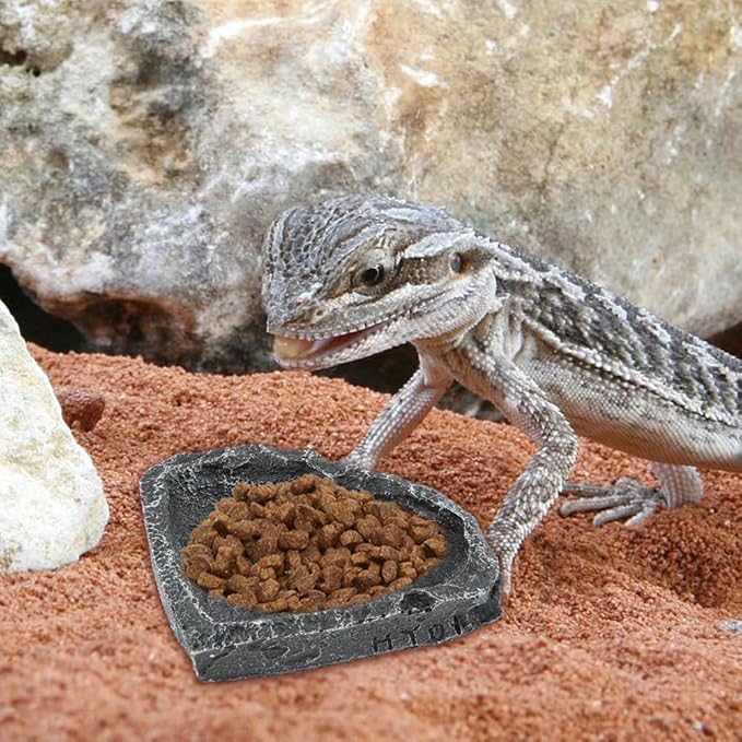 Reptile Bowls, 2 Pcs Reptile Feeding Dish with Clamp & Shovel, Resin Rock Reptile Water & Food Bowls, Amphibian Reptile Feeding Terrarium Bowls for Gecko Lizard Spider Scorpion Chameleon