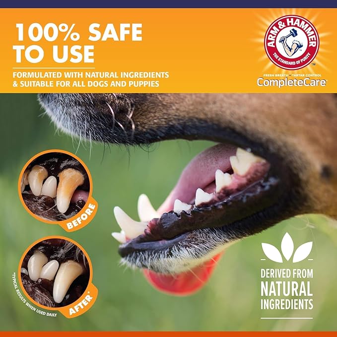 Arm & Hammer Complete Care Enzymatic Dog Toothpaste, 6.2 oz - 6 Pack | Dog Toothpaste for Puppies and Adult Dogs, Arm and Hammer Toothpaste for Dogs | Pet Dental Care for Clean Dog Teeth