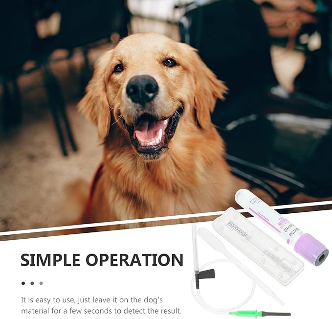 Dog Pregnancy Test Kit at Home, Fast Accurate Detection Pregnant Test Paper Strip for Dog, Cat Veterina Disposable Pet Clinic Equipment - Instructions are on The Details Page