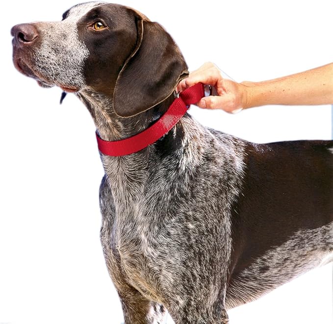 PetSafe Adjustable Martingale Collar - Only Tightens When Dogs Pull, Prevents Slipping Out - Helps with Strong Pullers, Increased Control - Alternative to Choke Collar - 1", Large, Red