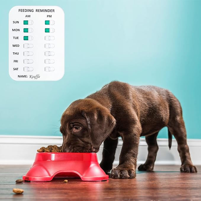 Coolrunner Pet Feeding Reminder for Dogs Cats, Magnetic or Double Sided Adhesive, Prevent Overfeeding