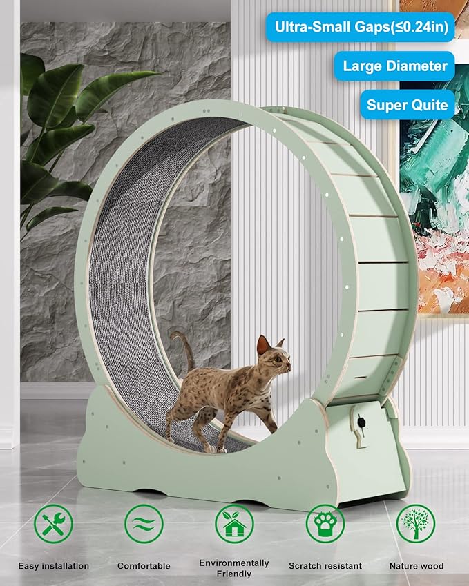 Cat Wheels for Indoor Cats. Extra Large Diameter Cat Treadmill. Made of Natural Solid Wood. Inside Diameter 40in/100cm. Including Installation Tools and Cat Teaser. (Green)