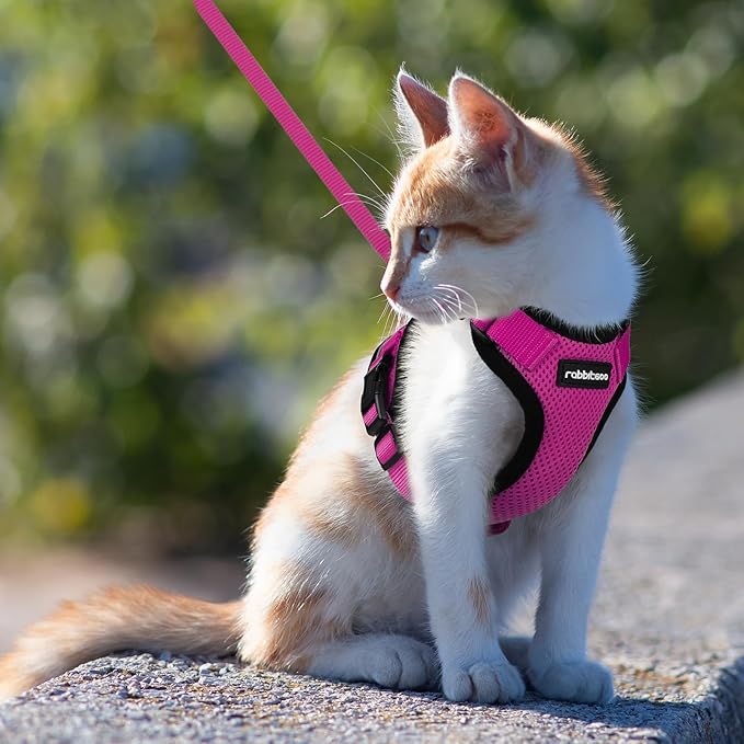 rabbitgoo Cat Harness and Leash for Walking, Escape Proof Soft Adjustable Vest Harnesses for Cats, Easy Control Breathable Reflective Strips Jacket, Rose Red, XXS