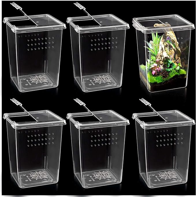 6 Pcs Tarantula Enclosure Insect Spider Terrariums Breeding Box Jumping Spider Enclosure Breeding Box Hatching Container Insect Container Breeding Box (Small Size)