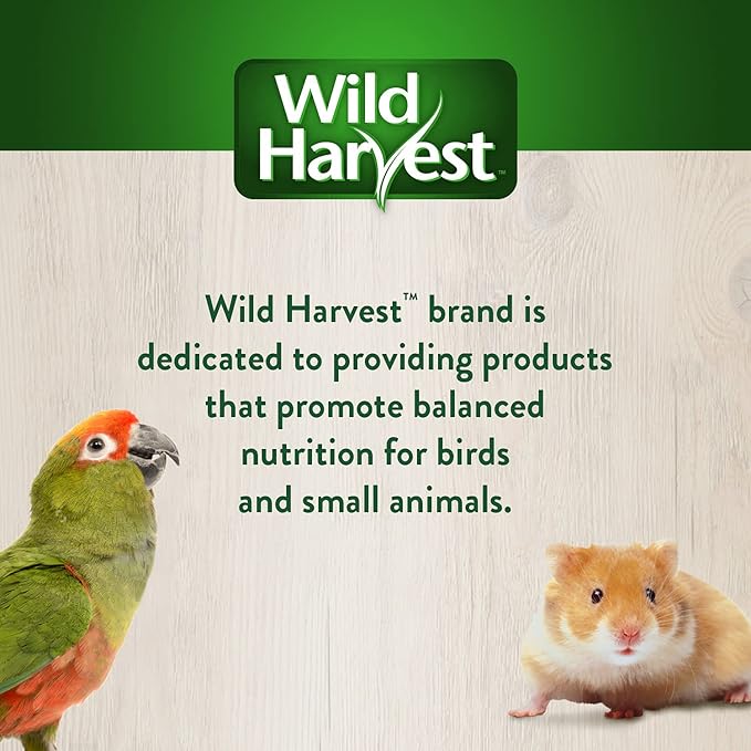 Wild Harvest Foraging Instincts Peck n’ Play Interactive Treat, 2 Ounce, for Small Birds