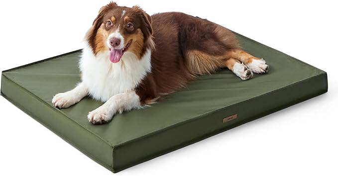 Lesure Waterproof Dog Bed for Medium Dogs - Outdoor Dog Bed with Oxford Fabric Surface, Medium Egg Orthopedic Foam Pet Bed with Removable and Durable Cover, Machine Washable