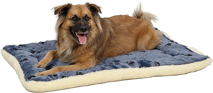 MidWest Homes for Pets Reversible Paw Print Pet Bed in Blue / White, Dog Bed Measures 35L x 21.5W x 3.5H for Intermediate Size Dogs, Machine Wash