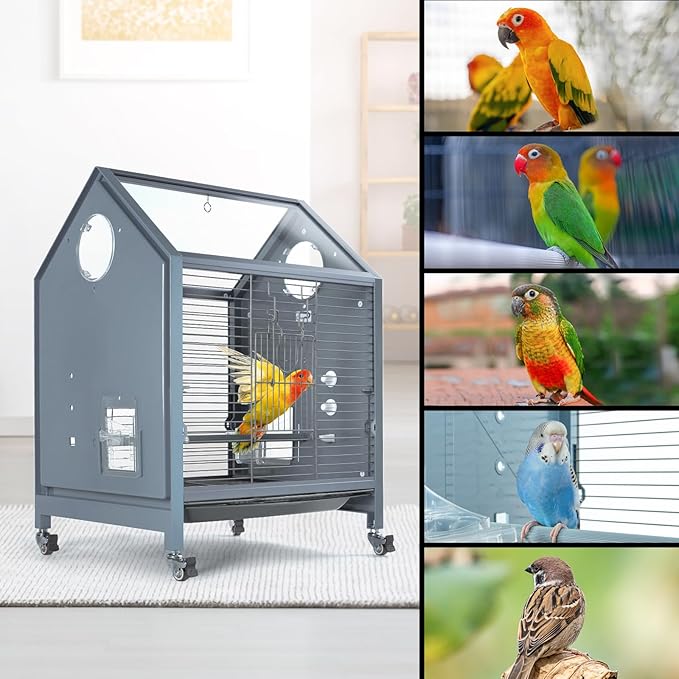 Acrylic Bird Cage, 25 inch Medium Parrot Cage for Parakeet Cockatiel Conure Lovebird, Panoramic View Bird Cage with Water Bottle Bird Feeder Perch Rolling Stand