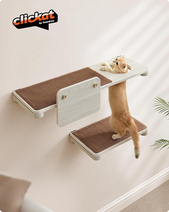 Feandrea Clickat Collection - No.008 Large Cat Shelf, Wall-Mounted Cat Perch for Large Cats, Cat Wall Shelves, Extremely Quick Assembly, Unlimited Expandability, Replaceable Module and Felt Pad