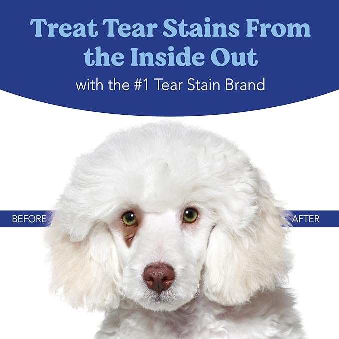 ANGELS' EYES NATURAL PLUS Tear Stain Prevention Beef Powder for Dogs | All Breeds | No Wheat No Corn | Daily Support for Eye Health | Proprietary Formula |Limited Ingredients | Net Content 75g