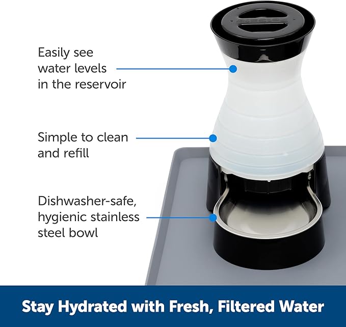 PetSafe Healthy Pet Water Station - Small, 64 oz Capacity, Gravity Cat & Dog Waterer, Removable Stainless Steel Bowl Resists Corrosion & Stains, Easy to Fill, Filter Compatible