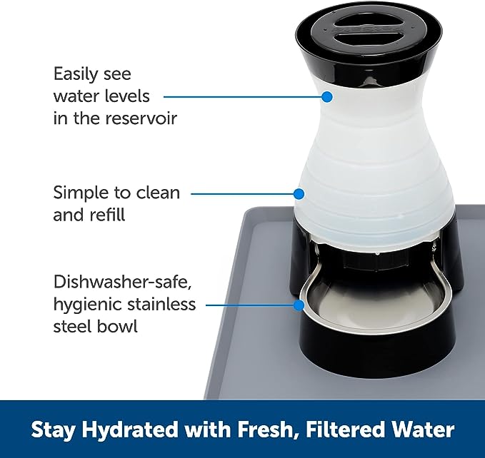 PetSafe Healthy Pet Water Station - Medium, 128 oz Capacity - Gravity Pet Water Fountain, Automatic Cat Water Fountain, Dog Water Fountain, Water Dispenser - Removable Stainless Steel Bowl Included