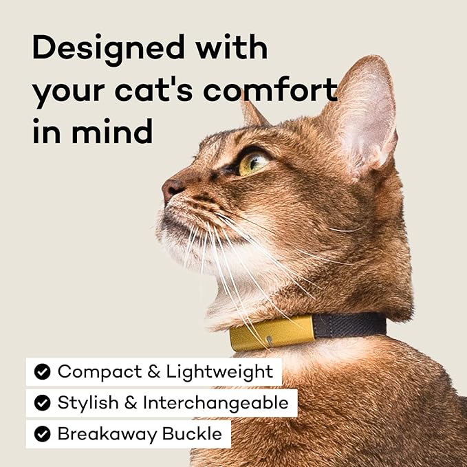 Smart Collar (Sumi, L) - Smart Collar with a Breakaway Buckle, Healthcare Tracker for Indoor Cat, Live Behavior Tracking, Loss of Energy Alerts