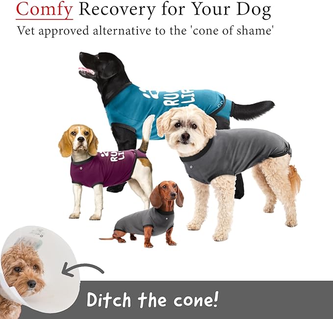 BellyGuard Recovery Suit for Dogs, After Surgery Dog Recovery Suit Female and Male, Soft Cotton Dog Surgery Suit Female Spay, Dog Surgical Recovery Suit Male Neuter, Comfy Surgical Onesie for Dogs.