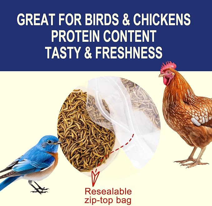 10LBS Non-GMO Dried Mealworms for Chickens, High Protein Meal Worms, Premium Chicken Feed, Perfect Bird Food and Chicken Treats, Whole Large Mealworms for Wild Birds, Ducks, Fish