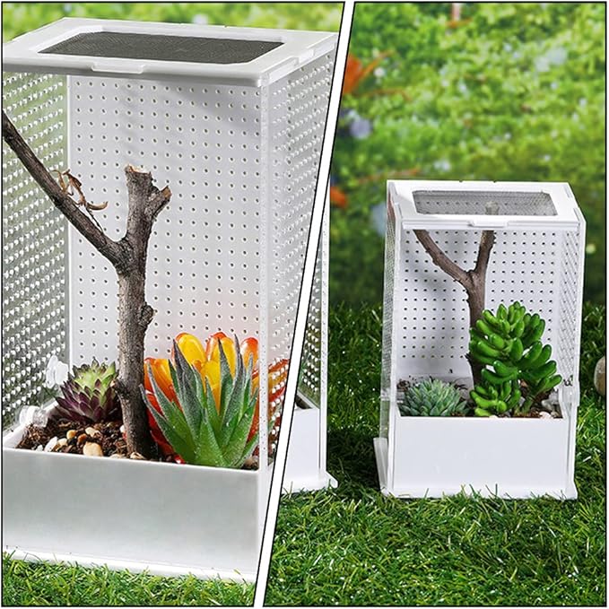 balacoo Magnetic Acrylic Reptile Breeding Box Terrarium Cage Tank for Tarantula Scorpion Sling Isopods Lizards Mantis