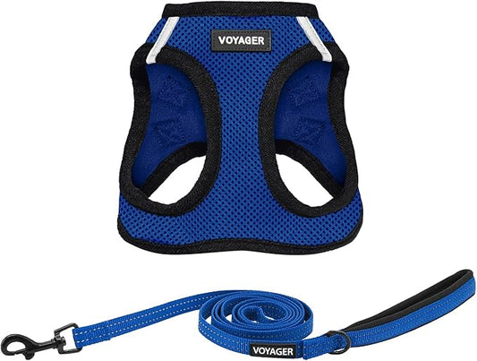 Voyager Step-in Air All Weather Mesh Harness and Reflective Dog 5 ft Leash Combo with Neoprene Handle, for Small, Medium and Large Breed Puppies by Best Pet Supplies - Royal Blue/Black Trim, Large