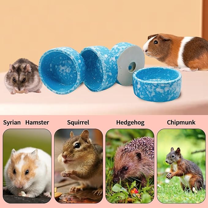 kathson 4 Pcs Hamster Food Bowl Guinea Pig Ceramic Water Bowl Small Animal Feeding Dish for Dwarf Hamster Gerbil Syrian Ferret Hedgehog Chinchilla Bunny (Blue)