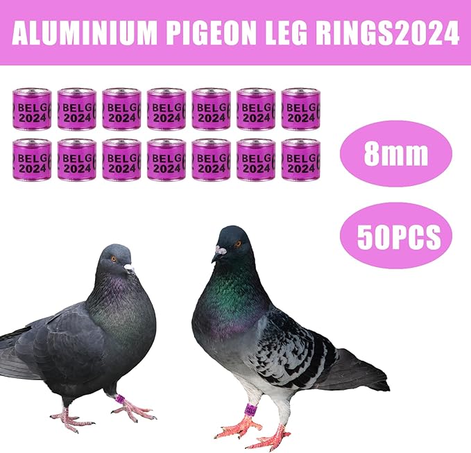 50Pcs Multicolor Aluminium Pigeon Leg Rings with 2024 BELG Training Identify Birds Foot Ring Identify 8mm Plastic Bird Leg Bands (Purple)