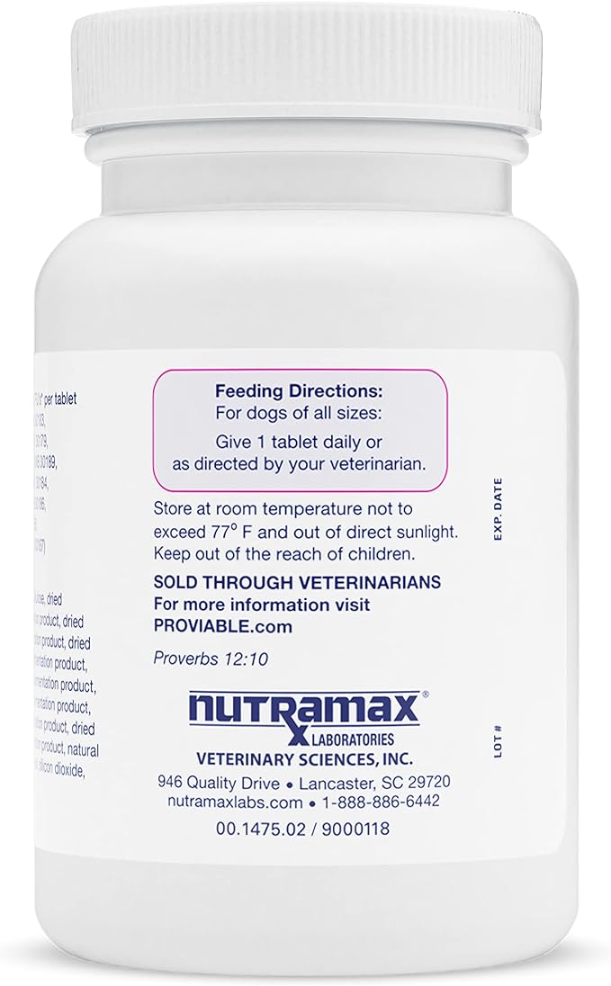 Nutramax Laboratories Proviable Digestive Health Supplement Multi-Strain Probiotics and Prebiotics for Dogs, With 7-Strains of Bacteria, 60 Chewable Tablets