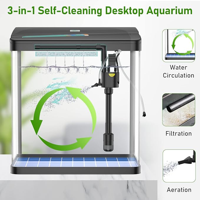 Fish Tank, 3 Gallon Glass Aquarium, 3 in 1 Fish Tank with Filter and Light, Desktop Small Fish Tank for Betta Fish, Shrimp, Goldfish (Black, 3Gallon)