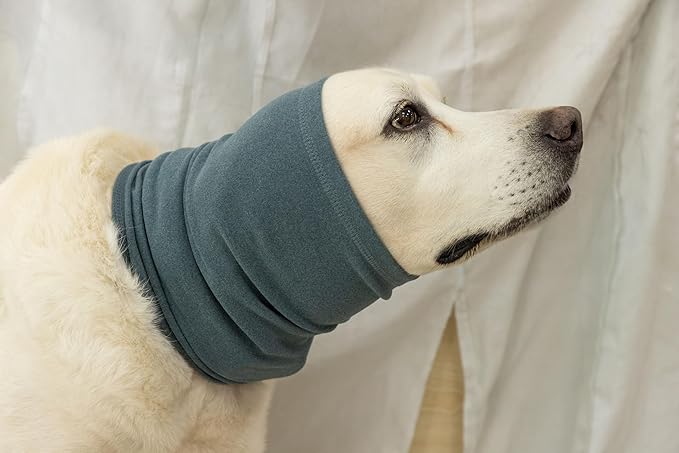 Medium Dog Hoodies Noise Ear Covers for Dogs Ear Protectors No Flap Dog Quiet Ears Noise Cancelling Headphones for dogs Aqua Blue M