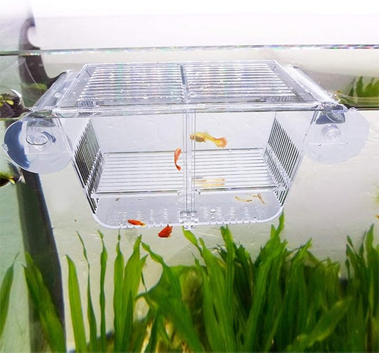 capetsma Fish Breeding Box, Acrylic Fish Isolation Box with Suction Cups, Aquarium Acclimation Hatchery Incubator for Baby Fishes Shrimp Clownfish and Guppy... Small Size (S)