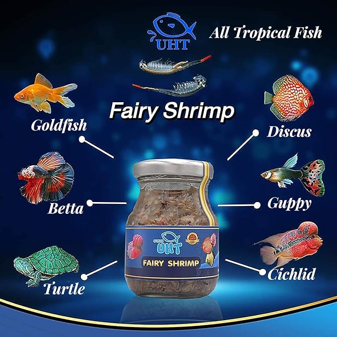 UTH Fish Food Fresh Fairy Shrimp 75 g. Best Tropical Fish Food Grow Faster & Color Enhancer Slow Sinking Like Pellets High Protein 74.41% for All Baby Fry Newborn Fish Feed & Small Fish Care