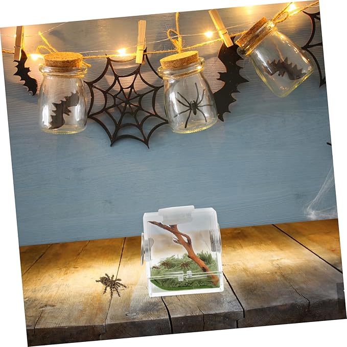 Mipcase 3pcs Box Jumping Spider Breeding Box Mini Critter Keeper Miniature Glass Animals Spider Living Habitat Carrier Glass Containers Spider Accessory Little Spider Survive Crawl Wood