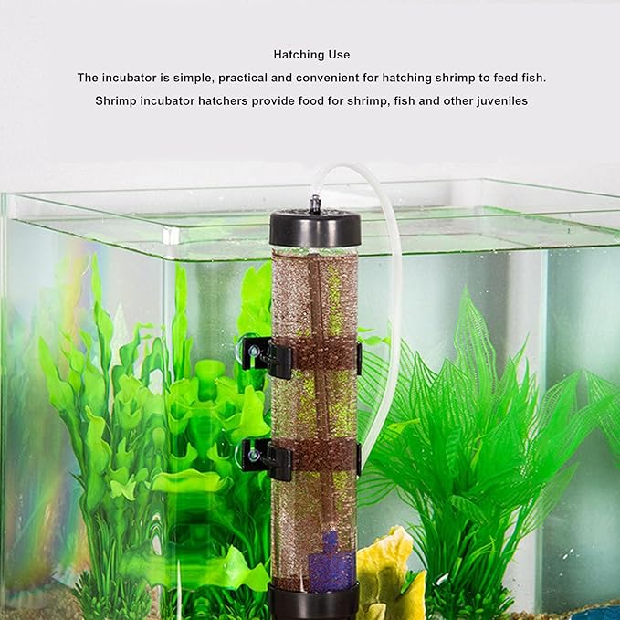 Shrimp Eggs Incubator Aquarium Artemia Eggs Hatchery Kit Aquarium Cichlids Tumbler DIY Aquarium Fish Hatch Tool for Aquarium Shrimp Eggs